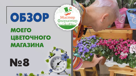 #8 Обзор цветочного магазина 