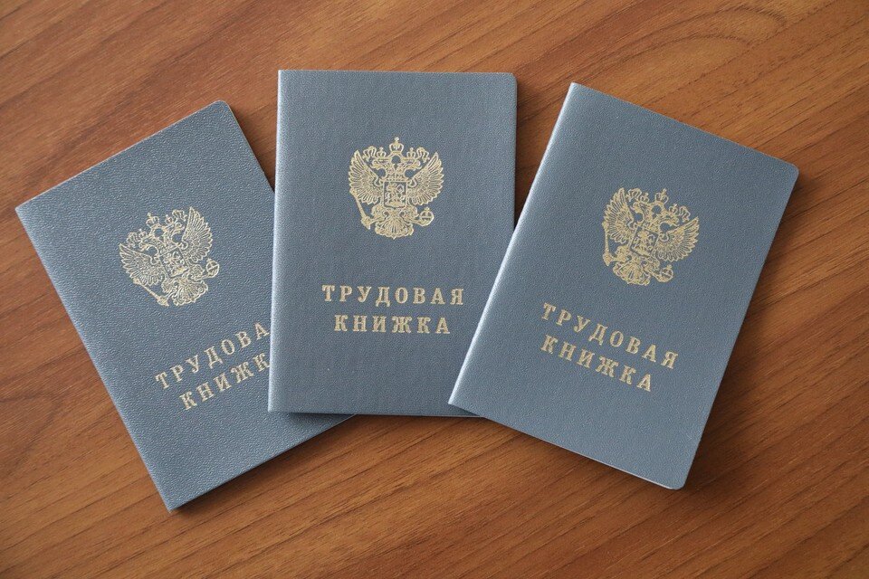     Волгоградцы больше ищут работу в сферах сервиса, науки и образования, туризма, IT Дмитрий АХМАДУЛЛИН