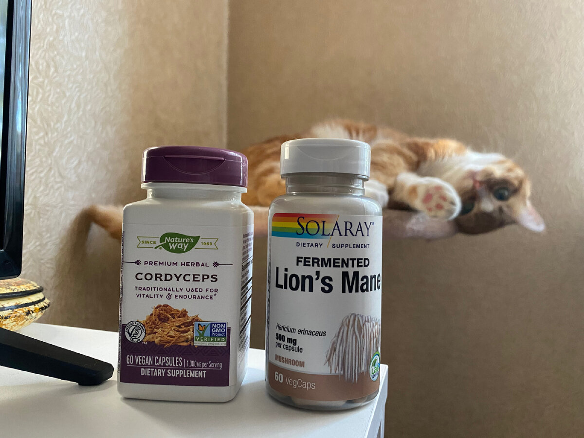 А важное сегодня — кошка позирует на заднем плане😻