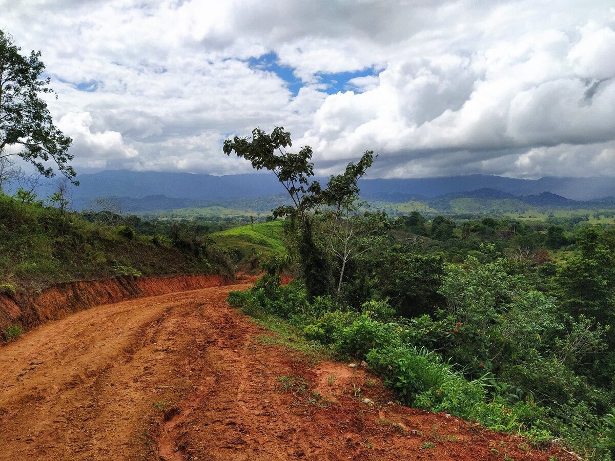Практически хайвей