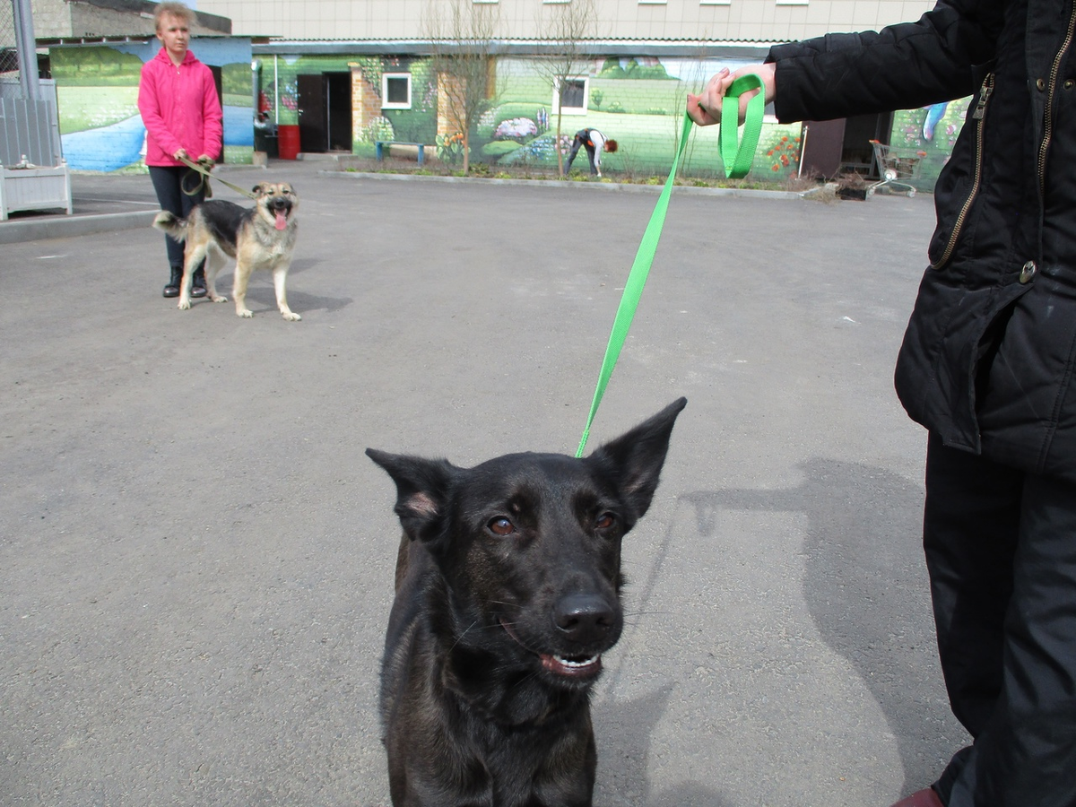 Фото с одного из наших субботников