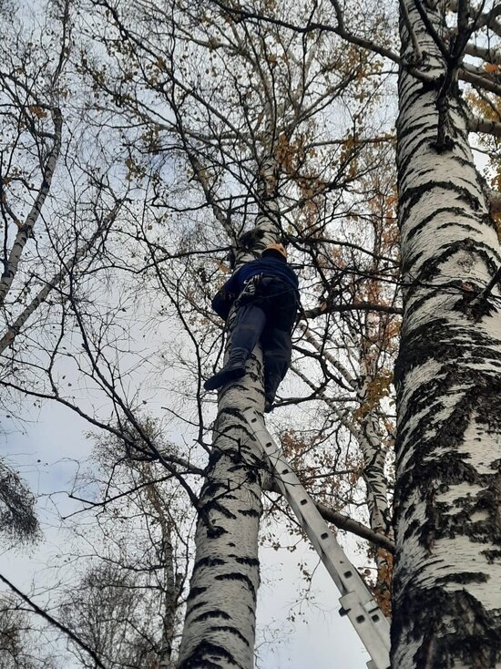     Фото: ВКонтакте / Агентство по защите населения и территории Кузбасса