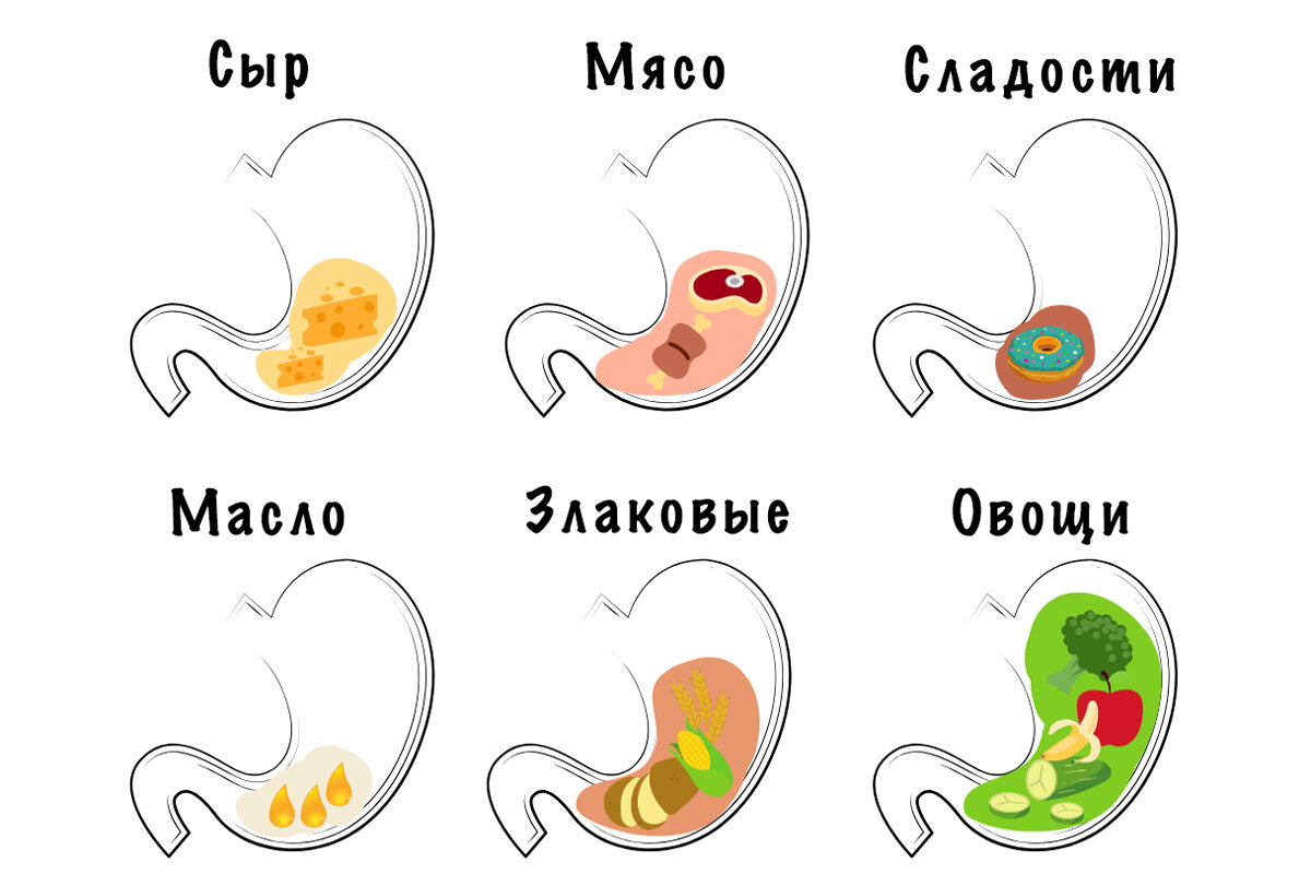 Индекс насыщения продуктов — таблица. Какая еда лучше утоляет голод? |  Фитсевен | Дзен