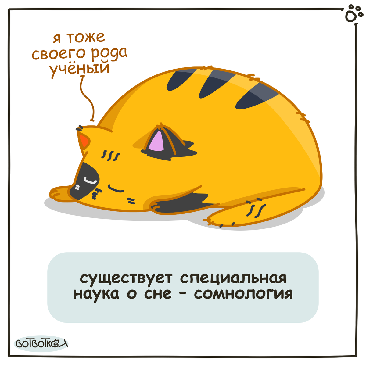 О сомнологии