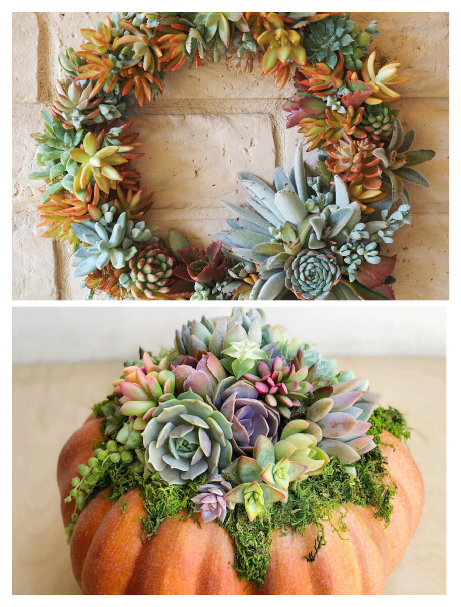 Коллаж фото из сети интернет 