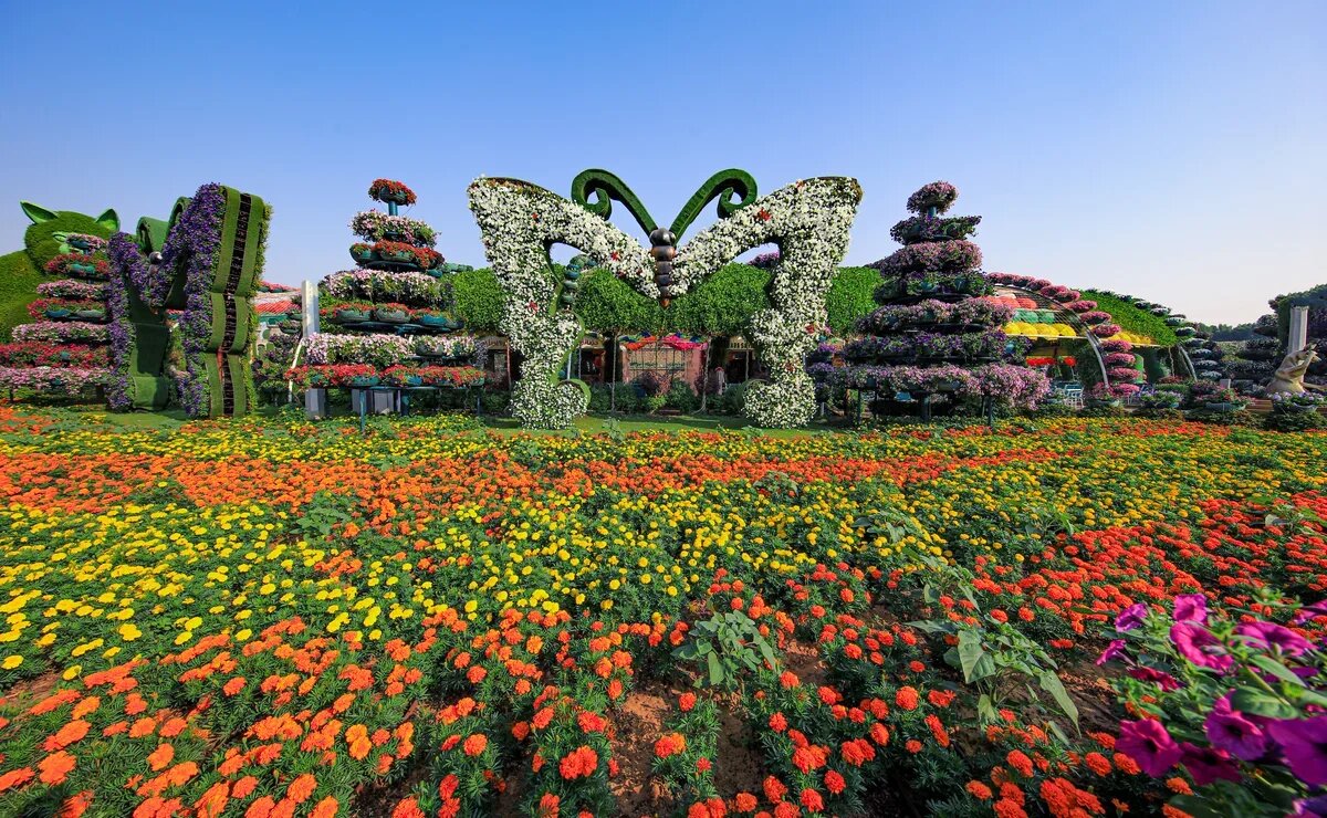    В Дубае после летнего перерыва вновь открываются популярные локации и парки развлечений