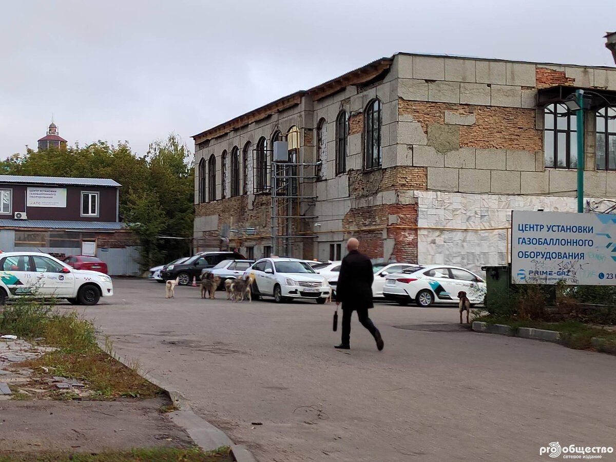 Осторожно, злая собака! Сколько нужно времени на отлов бродячих собак в  Пензе? | Про-общество | Дзен