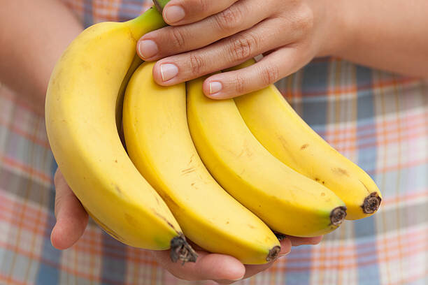 https://media.gettyimages.com/photos/bunch-of-organic-banana-in-hands-picture-id450367379?b=1&k=6&m=450367379&s=612x612&w=0&h=PGTzKUPRaAY5Kdj5_ViGDoti2KOmvwCzD1Kb5vBRvfg=
