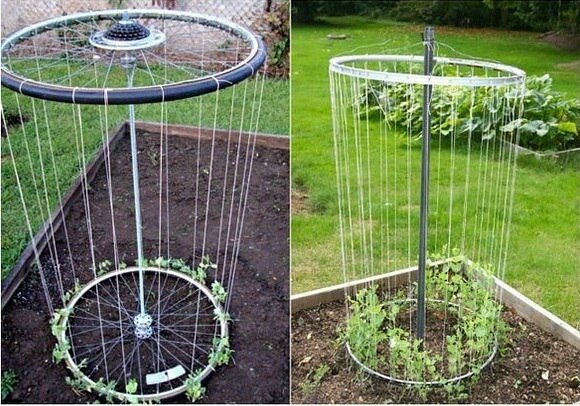 1. Старые велосипедные колеса                                                  