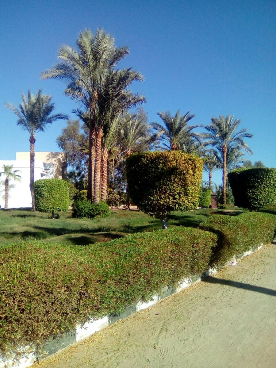 Veraclub Queen Sharm 4*