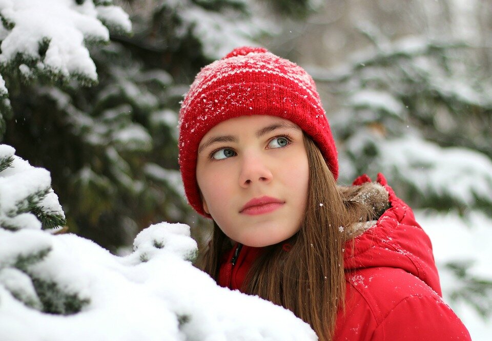 Источник фото: https://pixabay.com