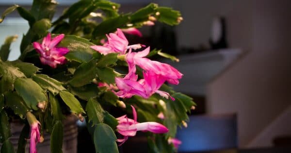 Источник фото: flickr.com