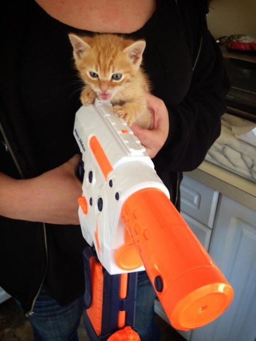 Суперпушистый защитник вселенной