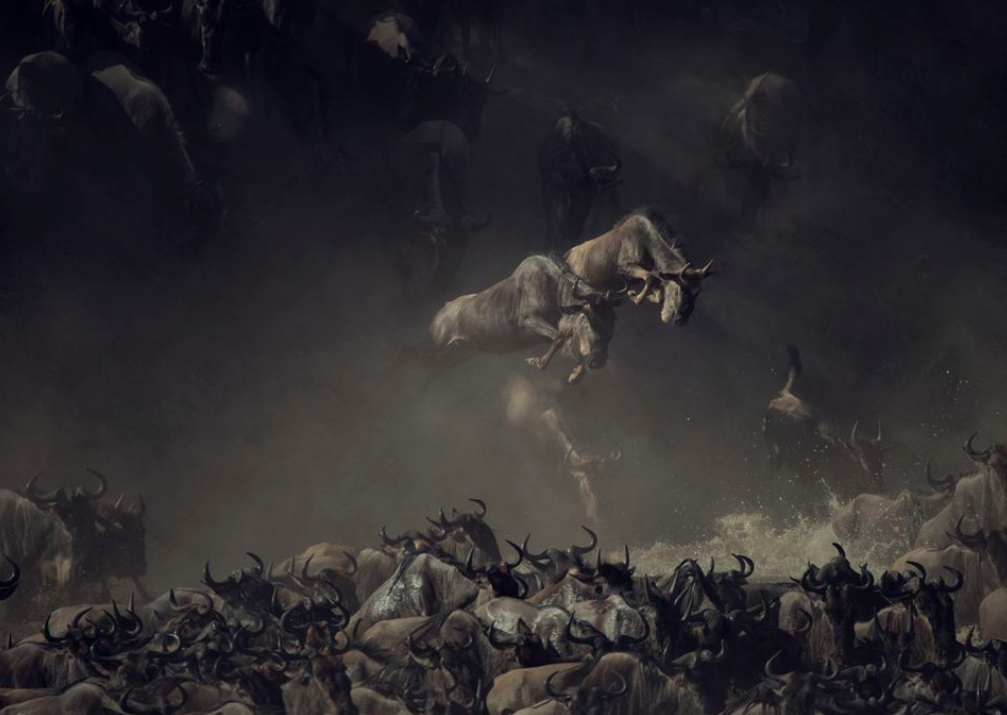 Пим Волкерс.      