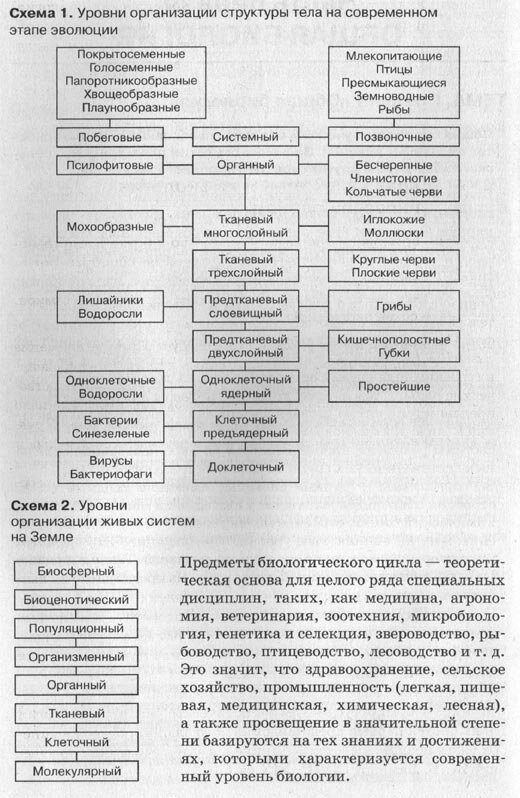 Уровня организации в процессе эволюции