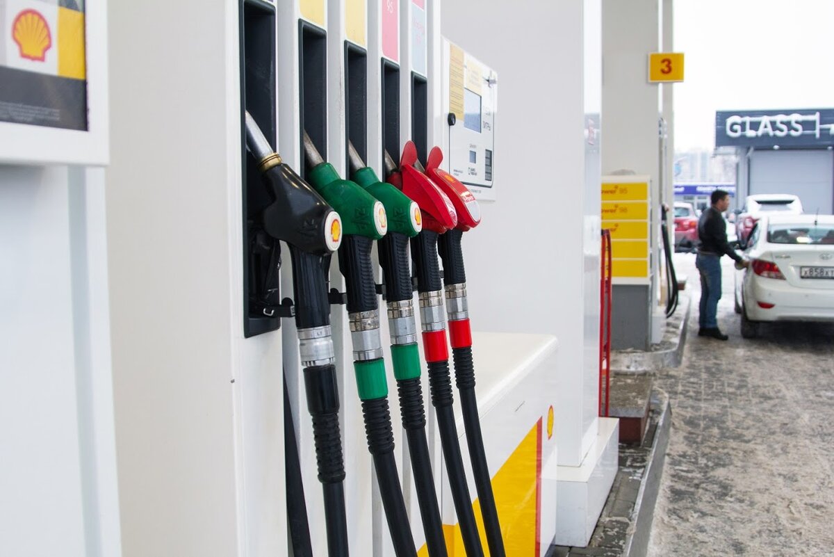 Фото: Metagazeta.ru / Анатолий Трофимов