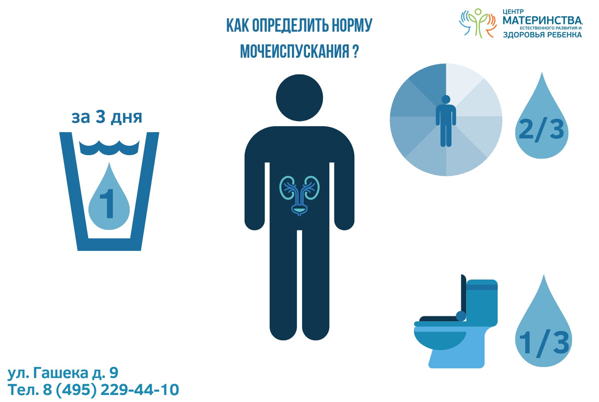 Норма количества мочеиспусканий в сутки. Дневник мочеиспускания.