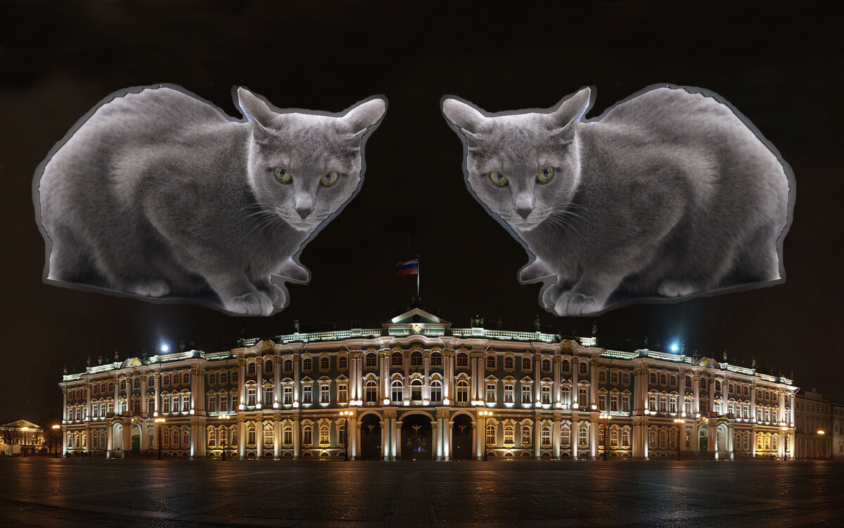 Коты эрмитажа