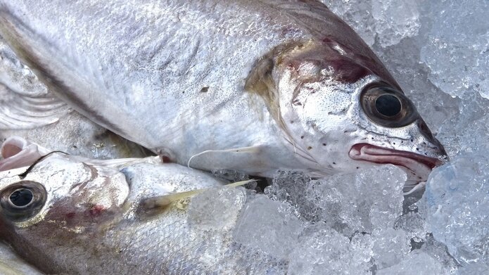 фото из открытых источников, для иллюстрации