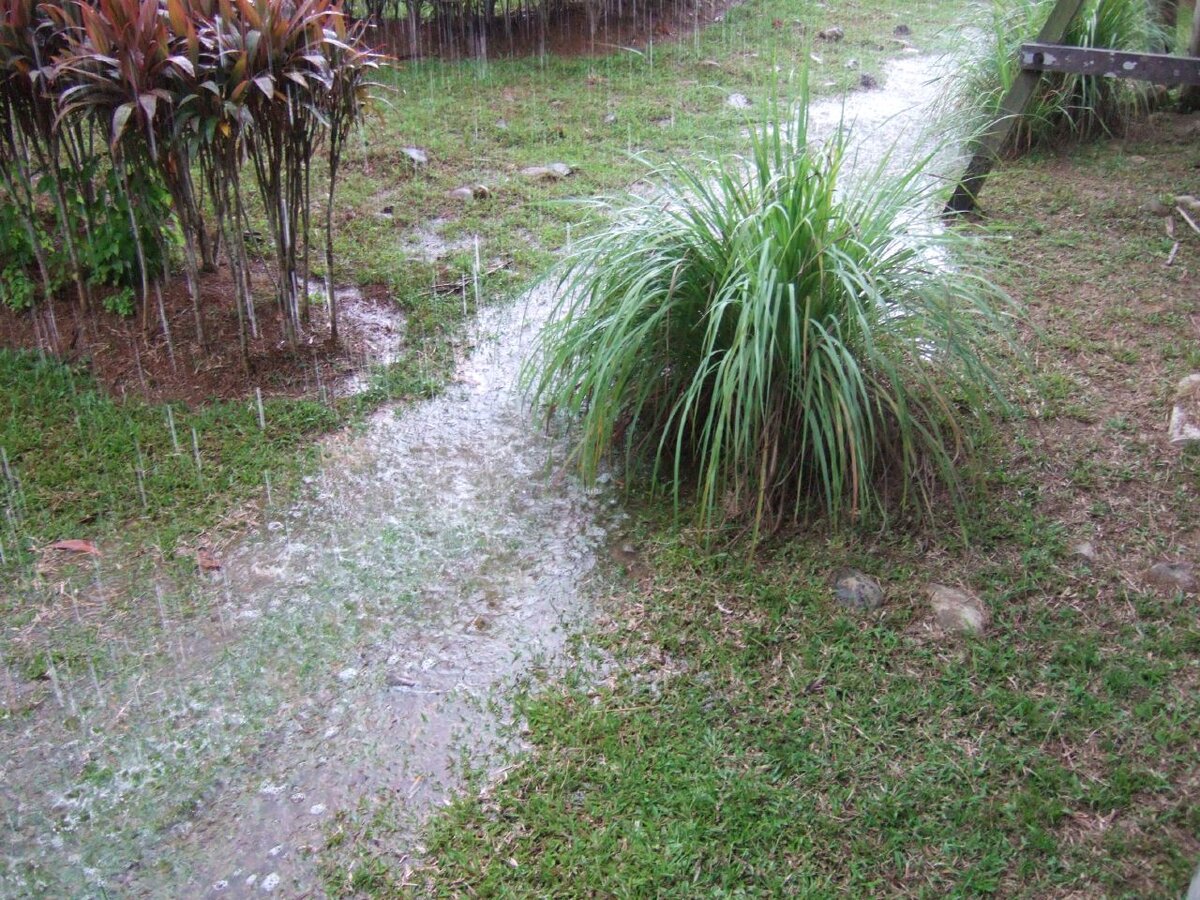 gardeningknowhow.com 