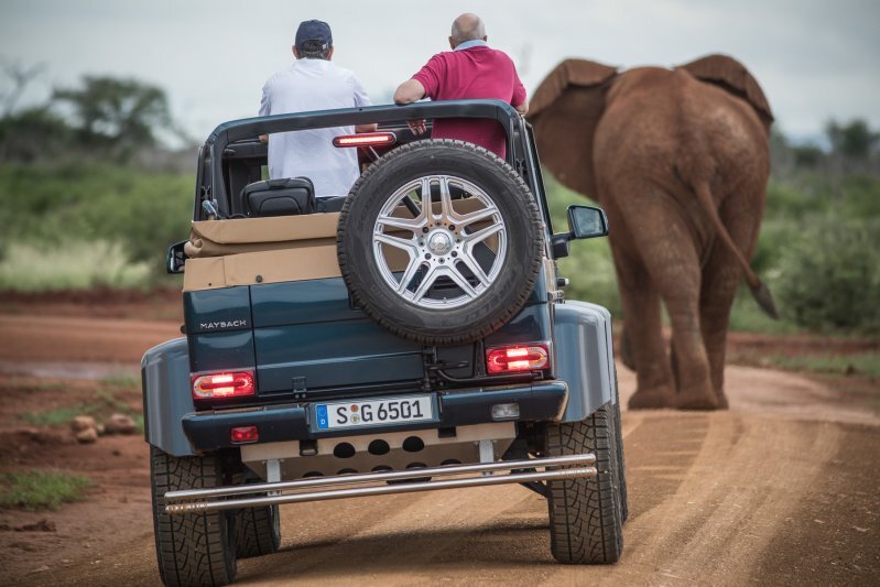 Автомобиль был выпущен тиражом. Первый внедорожник Mercedes-Maybach построен на базе G 500 4x4 и выпущен ограниченным тиражом в 99 экземпляров. Под его капотом установлен шестилитровый битурбомотор V12 от G 65 AMG, отдача которого составляет 630 лошадиных сил и 1000 Нм крутящего момента.