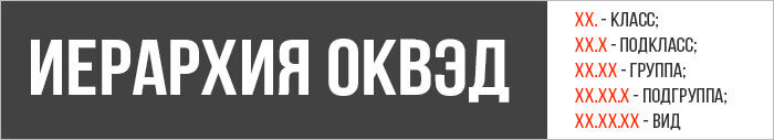 Вот так выглядит «древо» ОКВЭДа