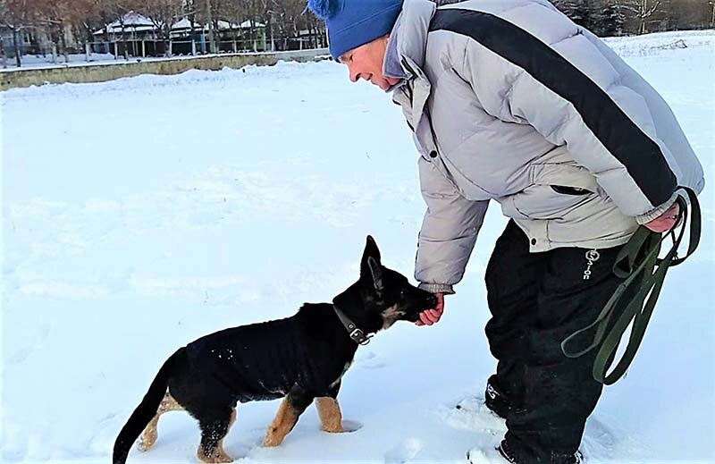 Кейси 3 месяца