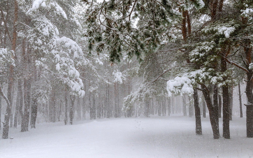 Источник: https://yandex.ru/images