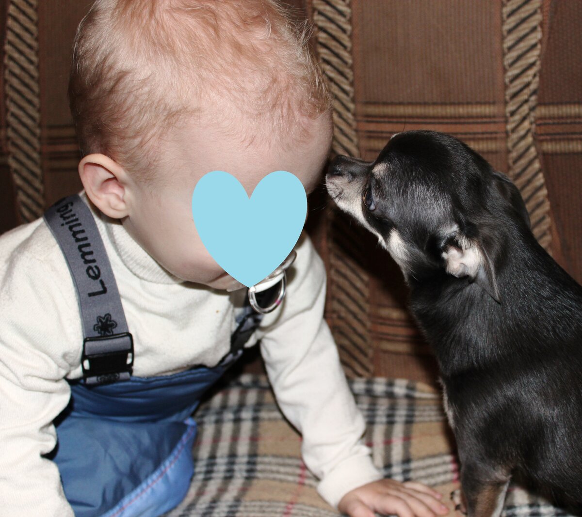 В гостях у бабушки был один из племянников. Майк и Саша вместе нашли общий язык и вместе игрались)