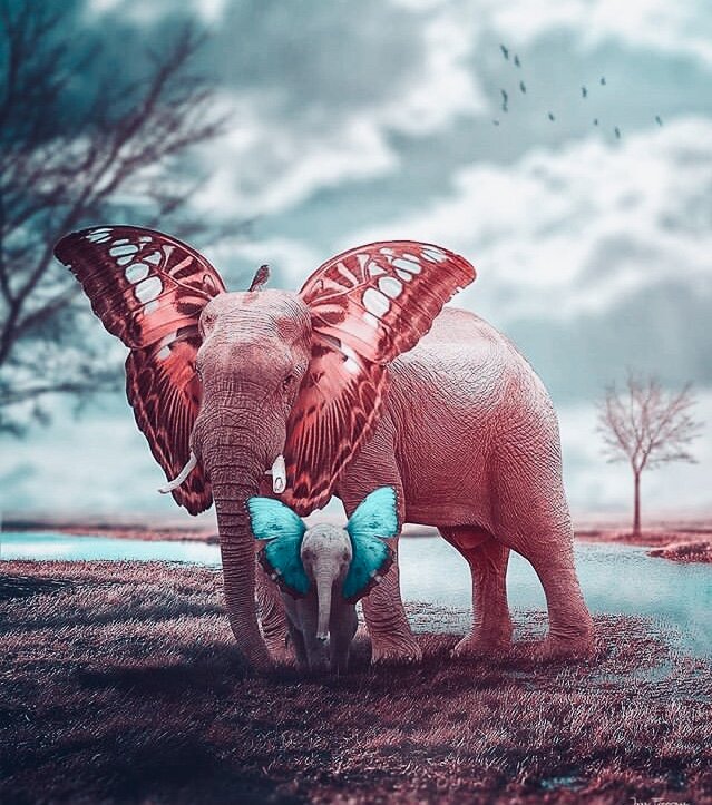 Смех продлевает жизнь - это банальность, с которой сложно не согласиться. 