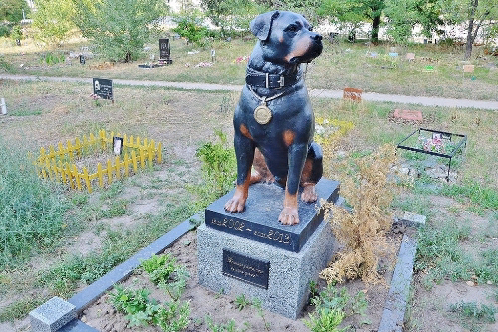 Похоронить собаку в москве. Памятник собаке. Памятника животным на кладбищах. Памятник собаке на кладбище.