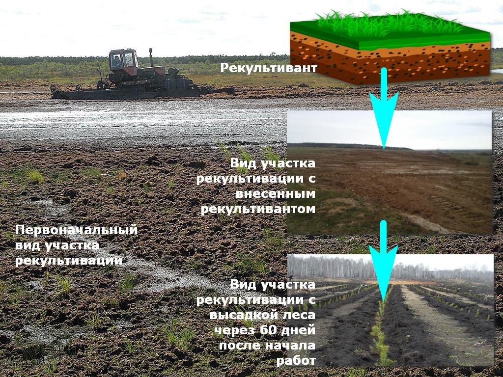 Согласование проекта рекультивации земель сельскохозяйственного назначения