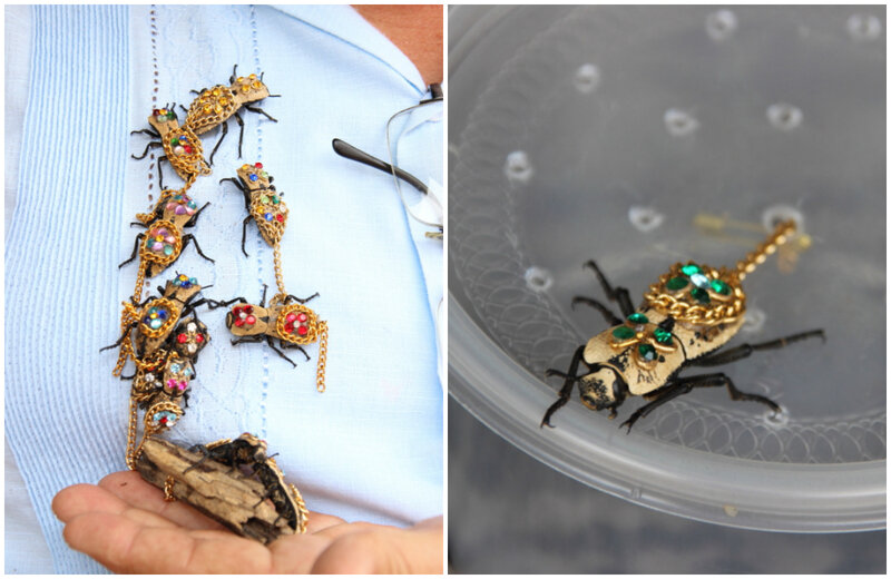 ювелирные украшения