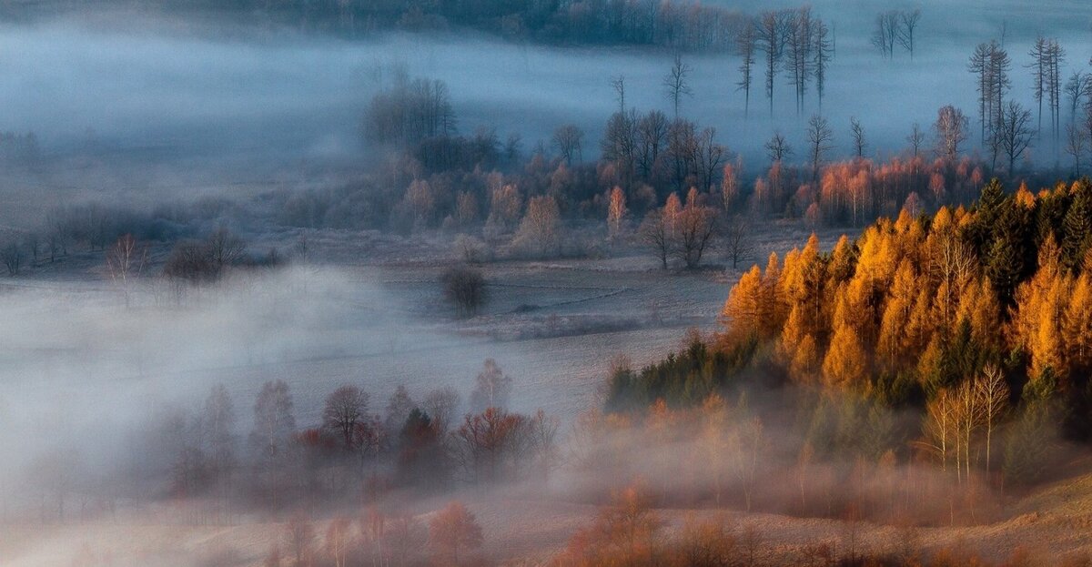 фото яндекс-картинки