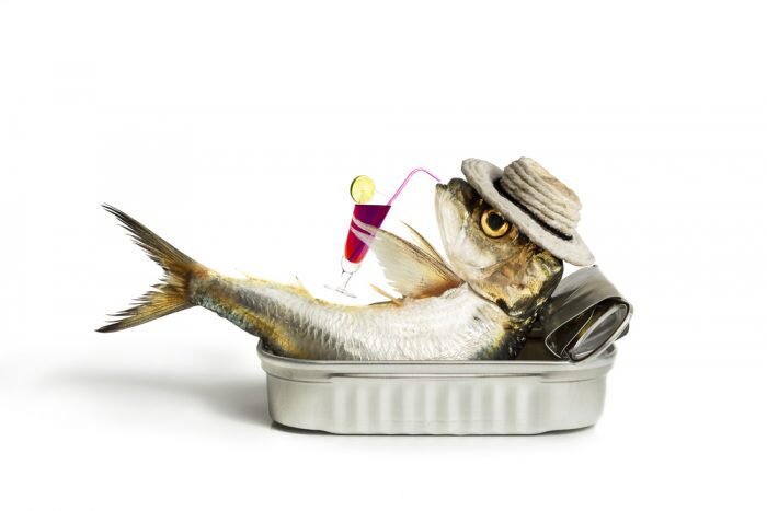 Источник изображения: shutterstock.com