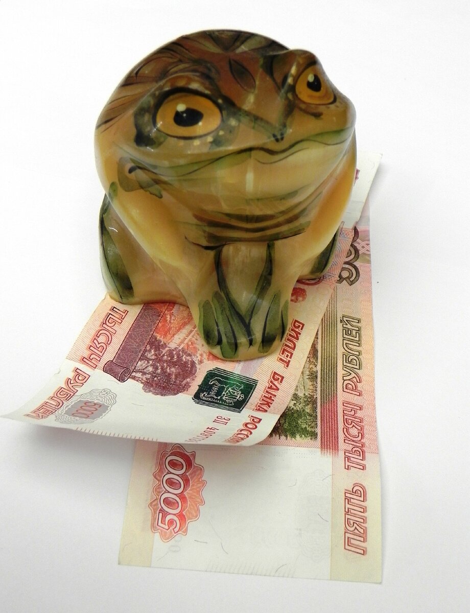 Фото персональной жабки из личного архива автора.