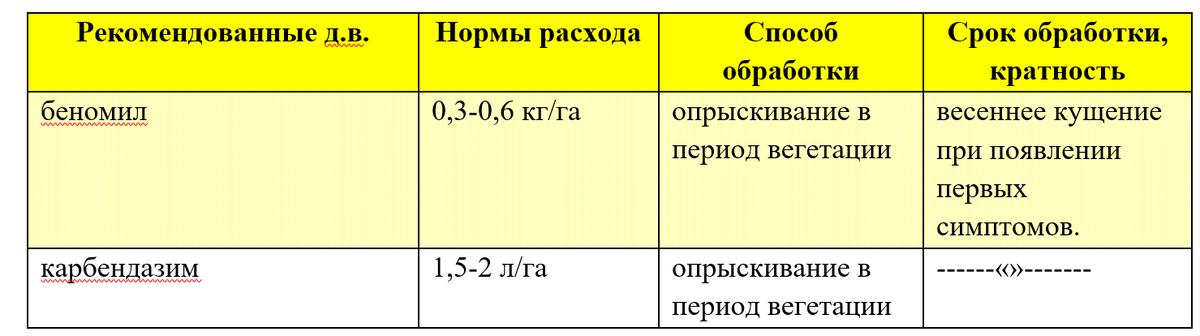 Планирование мероприятий по защите пшеницы от фузариозной корневой гнили:
