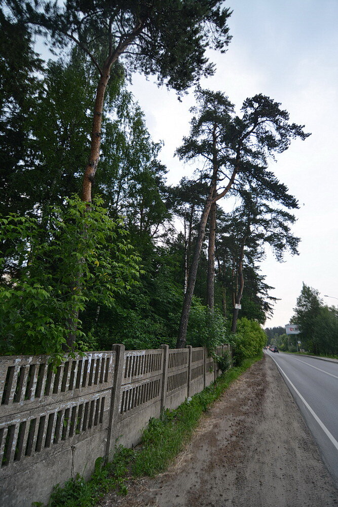  Фото автора.