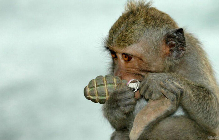 Я бы сказал, что это - один из моих сыновей, но это не так. Это - фото из и-нета ©