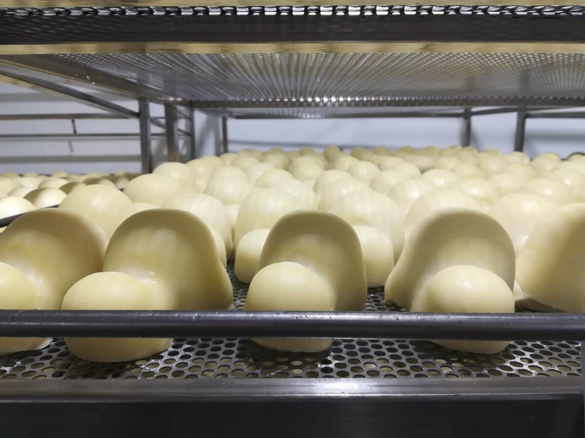 Сыр с российского завода. Фото The DairyNews.