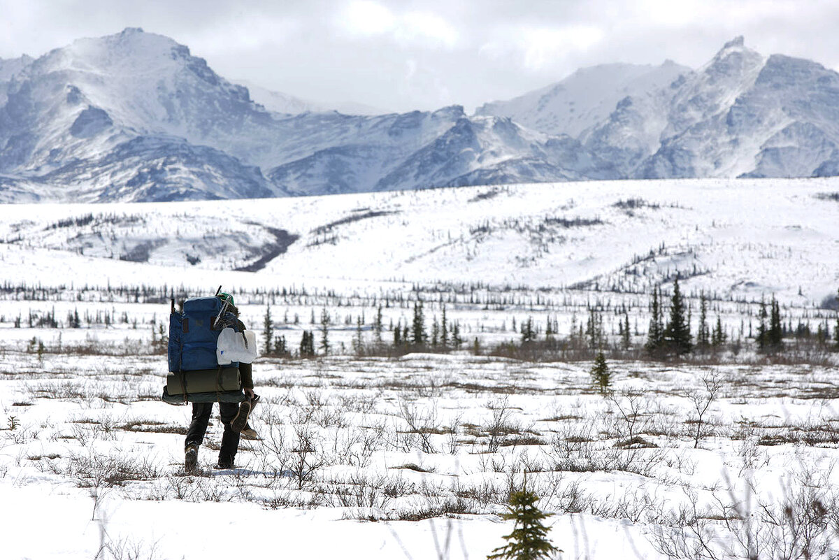 Кадр из фильма "Into the wild" 