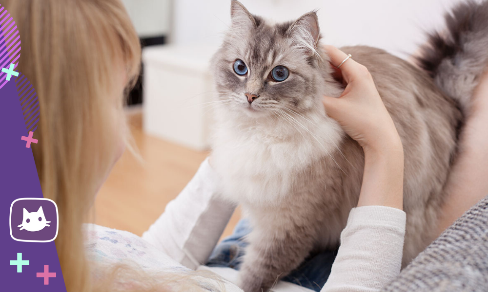 Обонятельные предпочтения