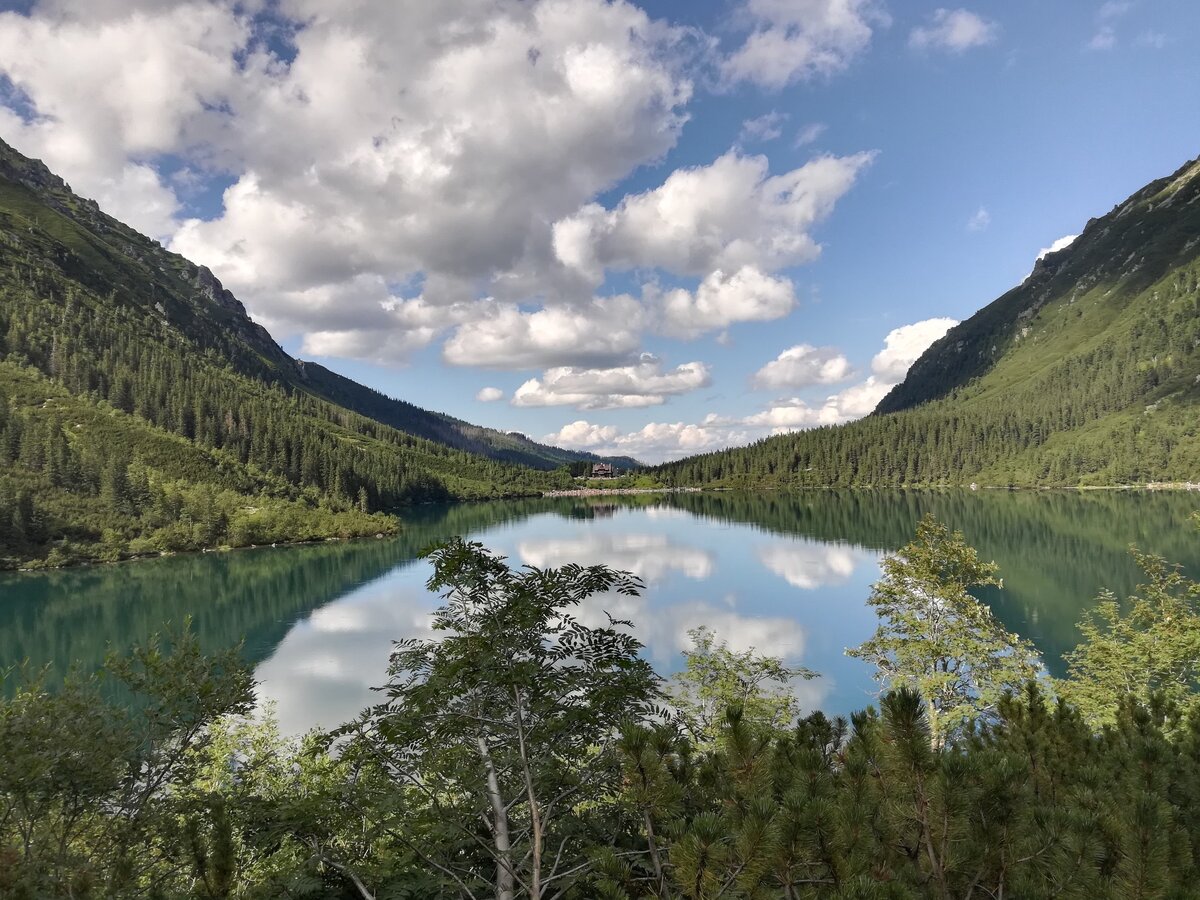 Фото из открытых источников.