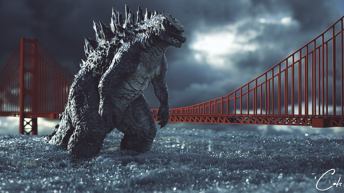 Фото с сайта Яндекс картинки.