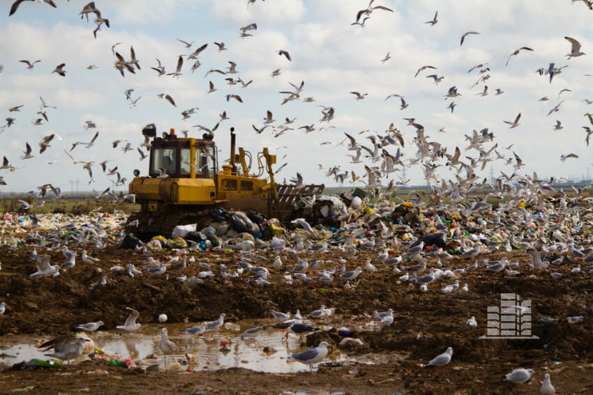 Жители жалуются, что тарифы выросли, а мусор стали вывозить реже.