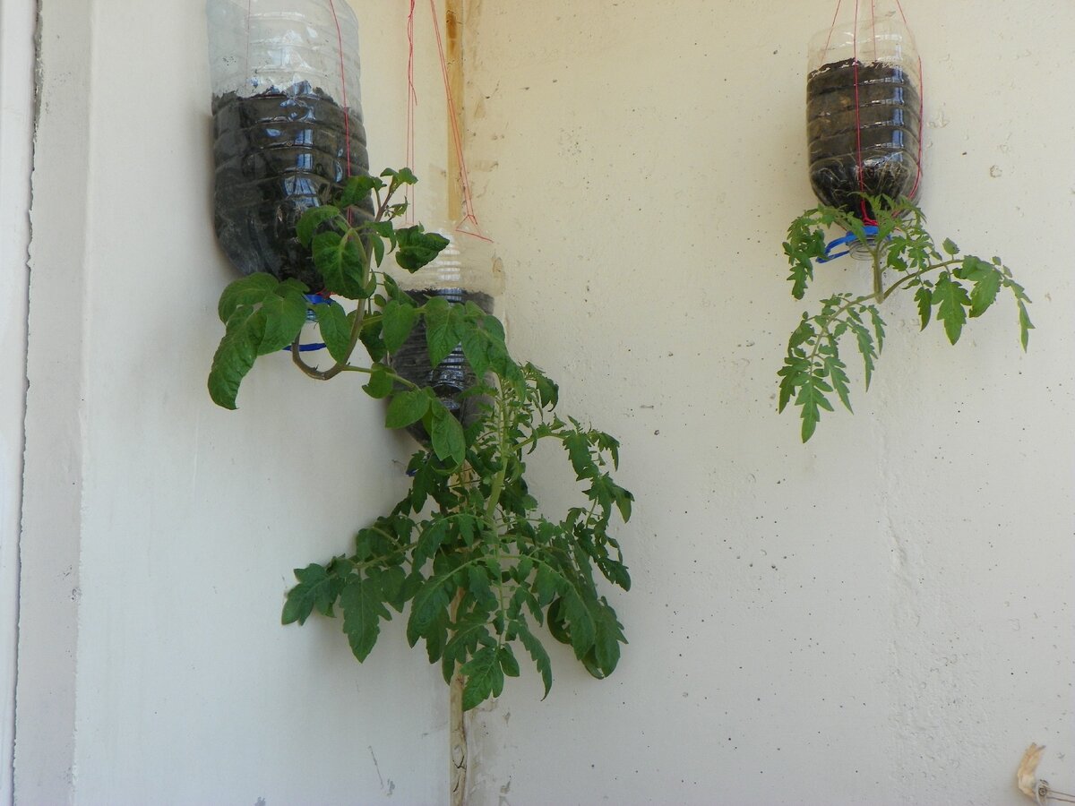 Вот так это выглядело.