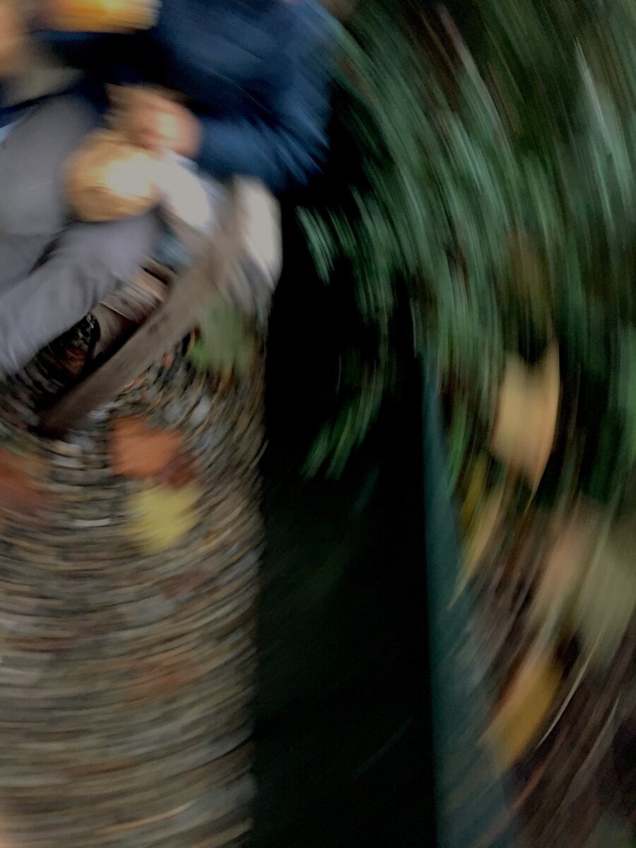 осенняя бытовуха