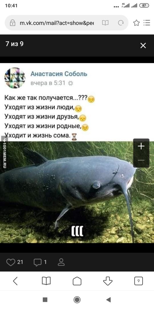 Буду рожать сома картинки