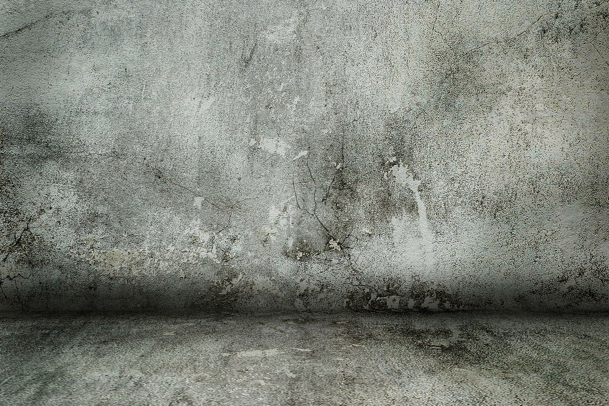 фото взято с интернета