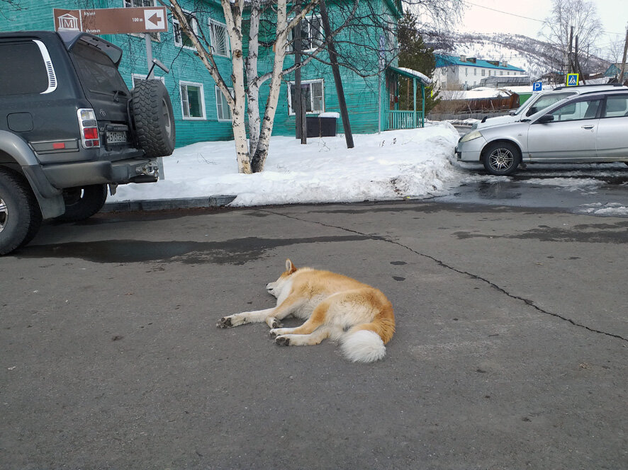 Нас и здесь неплохо кормят